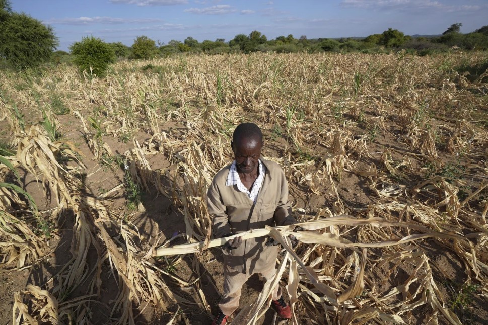 UN urges enhanced support for Africa's drought-affected countries