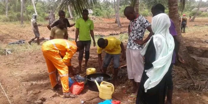 Featured image for How youth group is improving cashew nut production in Kwale County