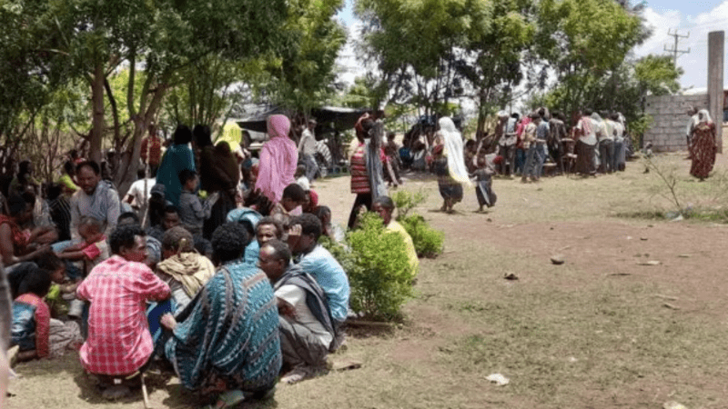 Humanitarian crisis in Ethiopia's Raya Alamata deepens amid service disruptions, fatalities