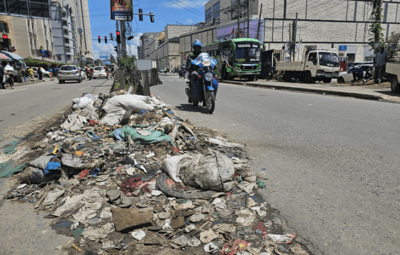 Environment officer vows action as Green Army faces backlash over garbage dumping