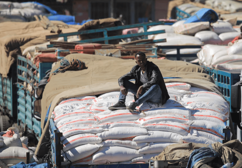 Ethiopia poised for 7.9 per cent economic growth amid agricultural, industrial gains
