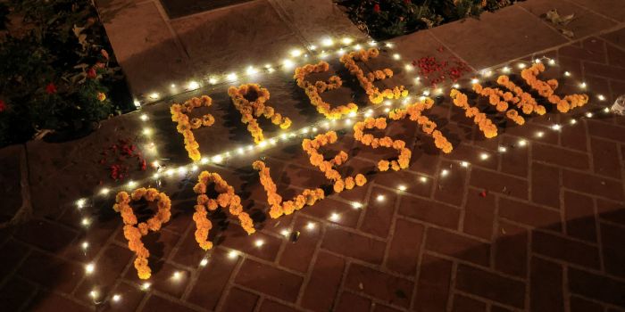 Gaza war: Success of Egypt peace deal would set blueprint for Middle East's future - A flower arrangement is placed on the ground during a protest in support of Palestinians in Gaza at the University of Southern California (USC), amid the ongoing conflict between Israel and Hamas, on April 27, 2024. (Photo: David Swanson/Reuters)