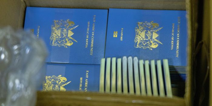 Committee proposes issuance of Kenyan passport within three days