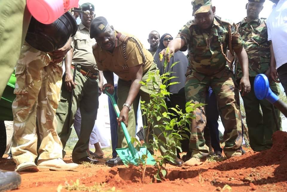 Featured image for Commissioner Ochako leads Mandera in tree planting exercise