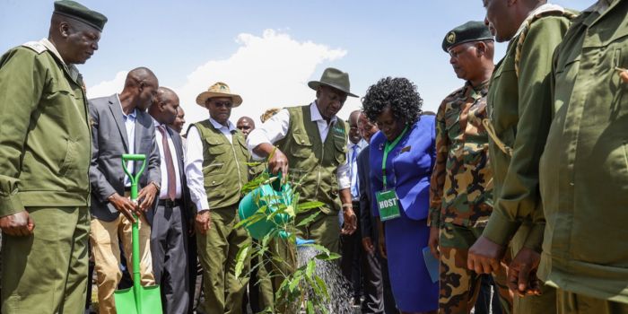 National Tree Growing Programme: CSs given monthly targets to plant seedlings