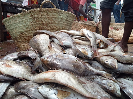 Trade tiff simmers as Uganda impounds DRC-bound fish from Kenyan traders