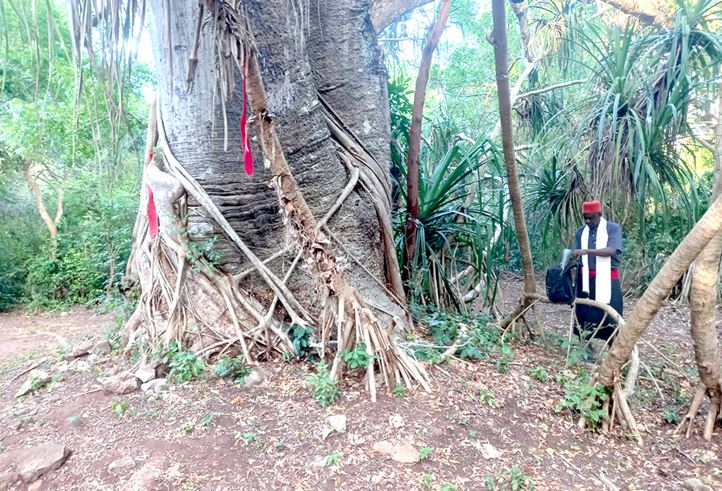 Elders want barriers built around kayas to keep grabbers away