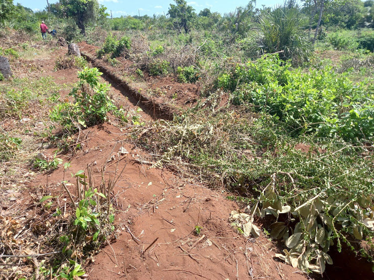 The alleged foundation for the perimeter wall on community land in Kwale County. (Photo: Shaban Omar) 