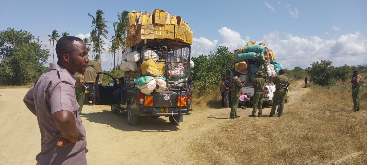 A driver startes at one pickups impounded at Kinango after they were caught trying to sneak muguka into Kwale County in June 2024. (Photo: Mishi Gongo) 