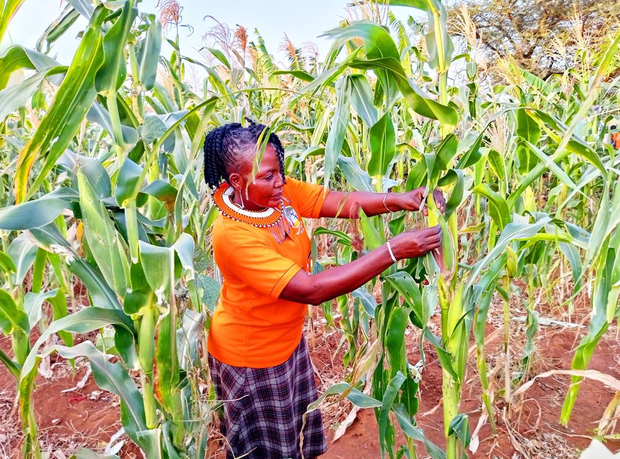 Isiolo pastoralist women shift to farming for food security, economic empowerment