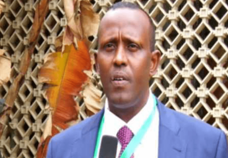 Pastoralist Parliamentary Group endorses Muguka ban to protect youth, schoolchildren