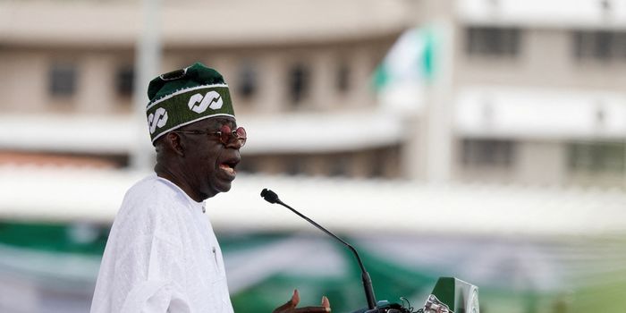 Nigeria's President says economic reforms will continue despite hardships