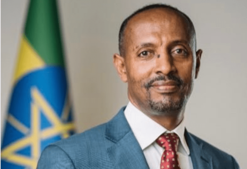 Ethiopia's Tamirt program saves $2.2B through import substitution