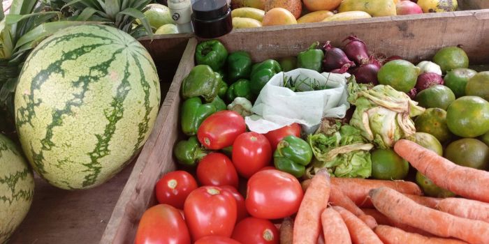 Kenya's small businesses hope for a better 2025 after struggling in 2024 - Food items at a small scale vegetable business in Eastleigh, Nairobi, on June 10, 2024. (Photo: Charity Kilei)