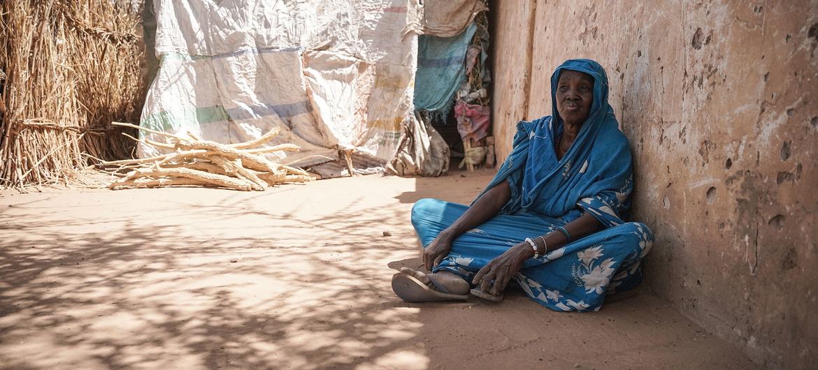 Security Council demands end to siege of El Fasher in Sudan