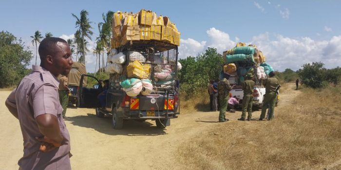 Featured image for 2 pick-ups seized while sneaking muguka into Kwale County
