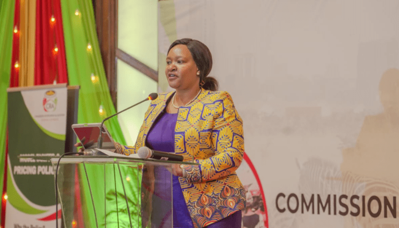 Commission for Revenue Allocation develops tariffs, pricing model for counties