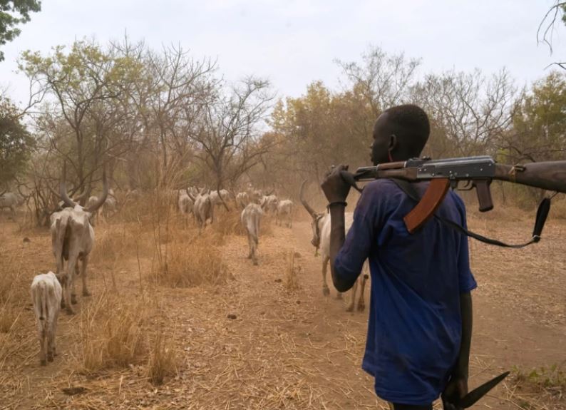 South Sudan revenge attack sparked by cattle raid kills 17