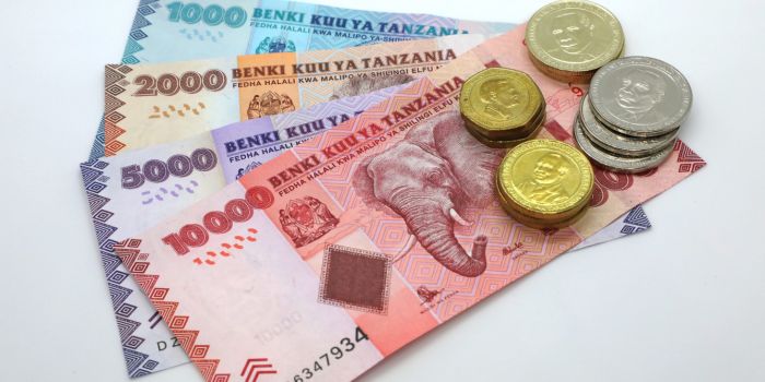 Tanzania orders all transactions in local currency to curtail US dollar supremacy