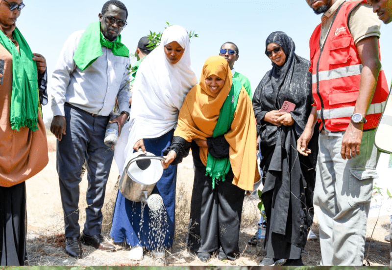 Garissa environmentalists call for restoration programs in drought and flood-Hit areas