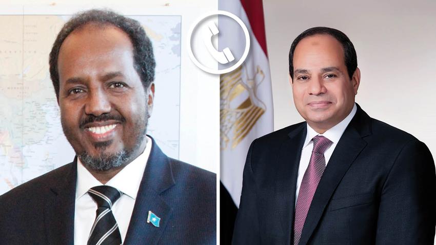 Egypt and Somalia vow to strengthen ties and regional stability