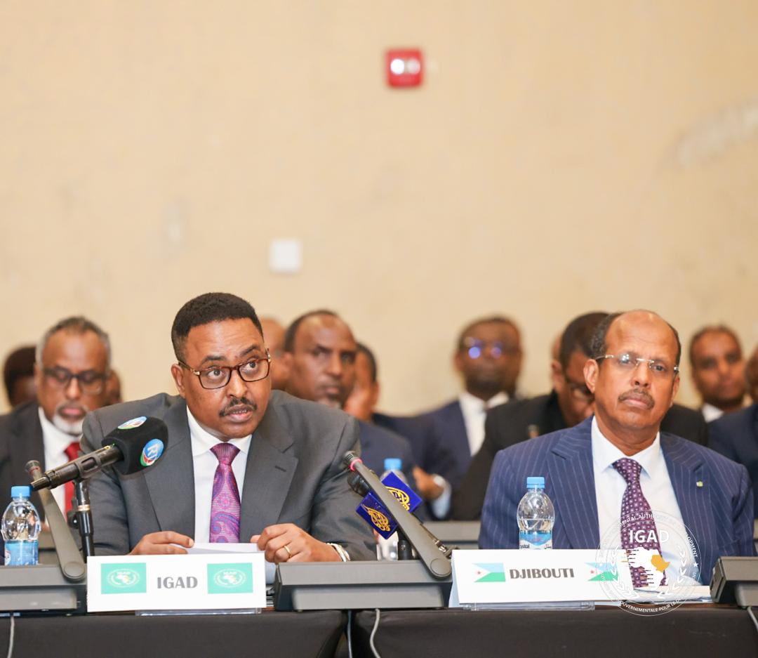 Djibouti hosts consultative meeting on Sudan crisis