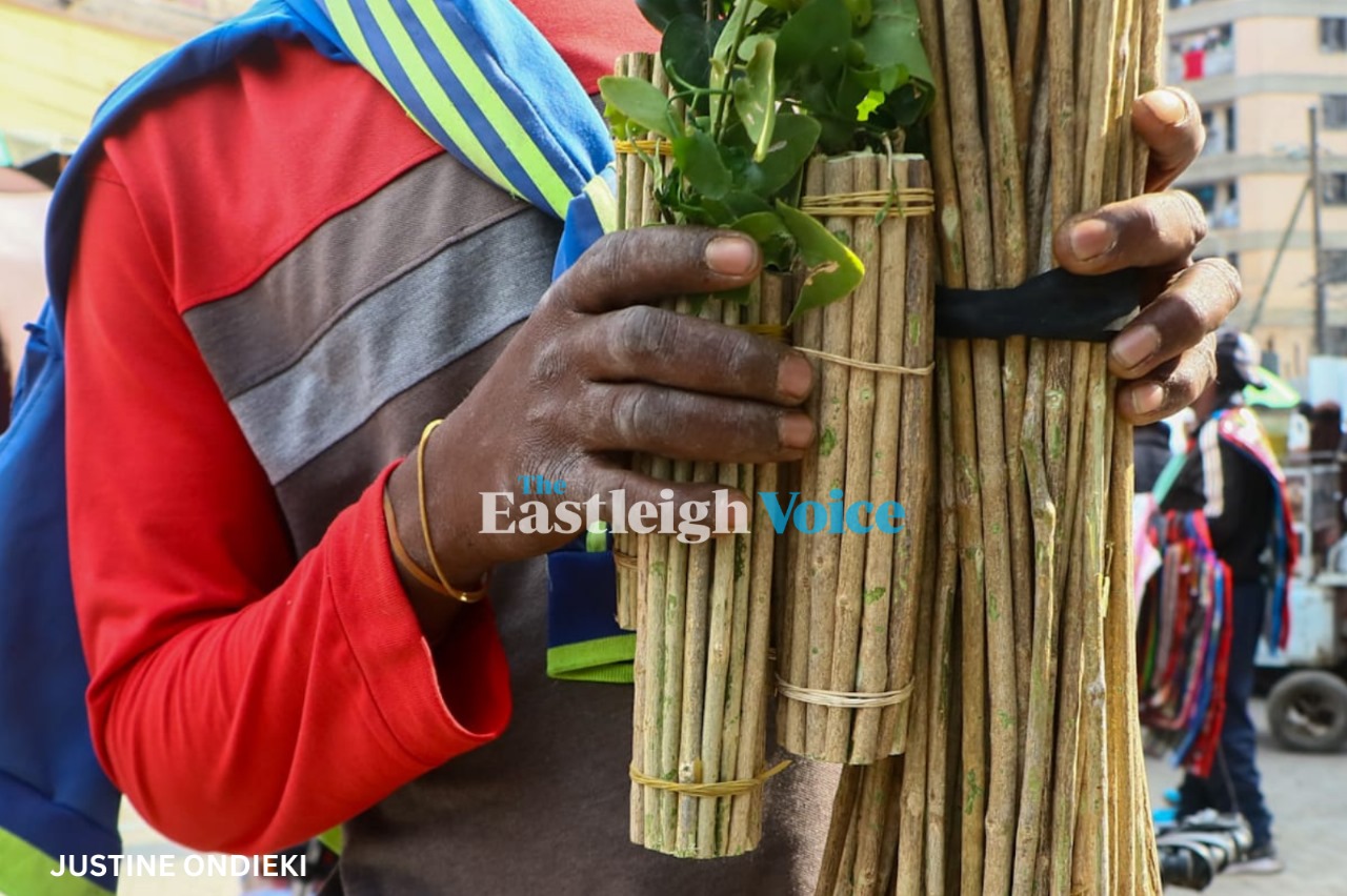 ‘Caday’: The enduring natural toothbrush preferred by Somalis