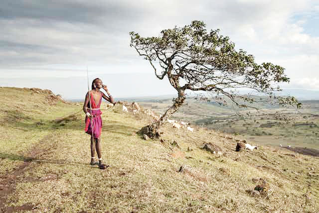 Kenyan pastoralists key to country’s economy but they are digitally deprived