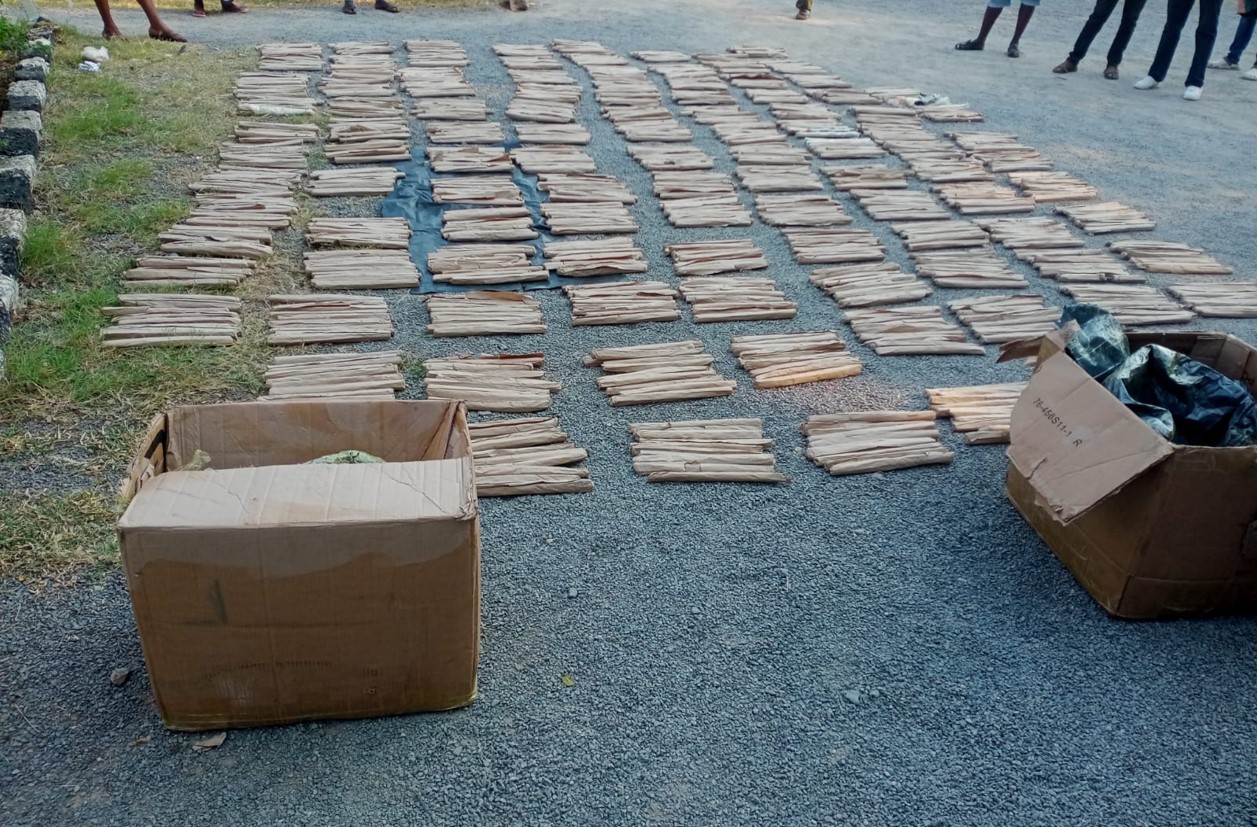 Four suspects arrested, bhang worth Sh1.7m recovered in Kilifi