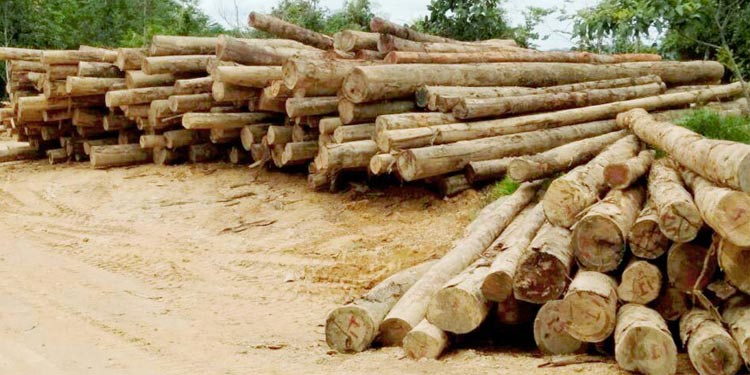 Timber movement permit fees rise to Sh25,570 in new govt structure