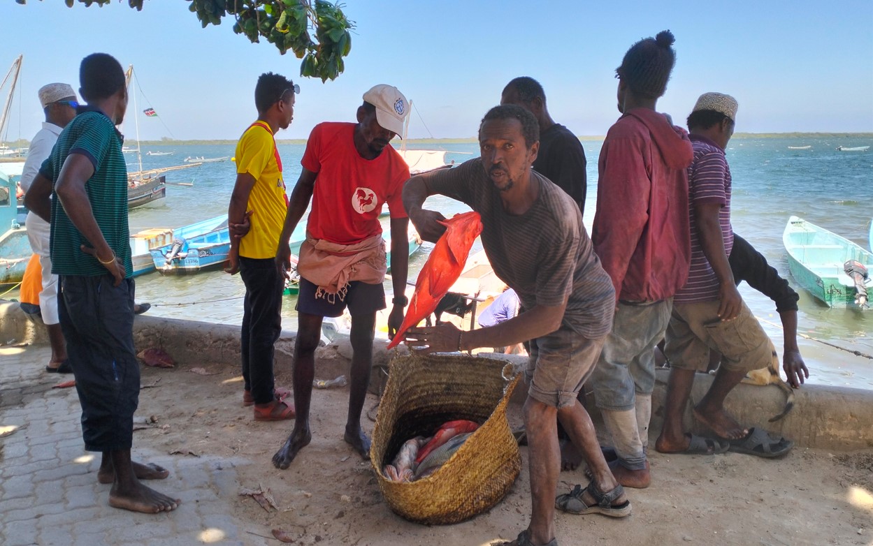 Illegal gear costs Lamu fishing sector Sh70 million annually