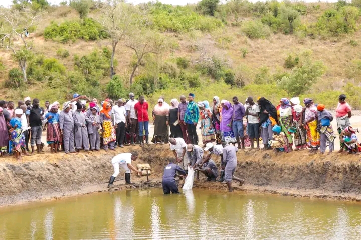 Kwale County inaugurates Sh2.95 million mariculture ponds to boost fish farming