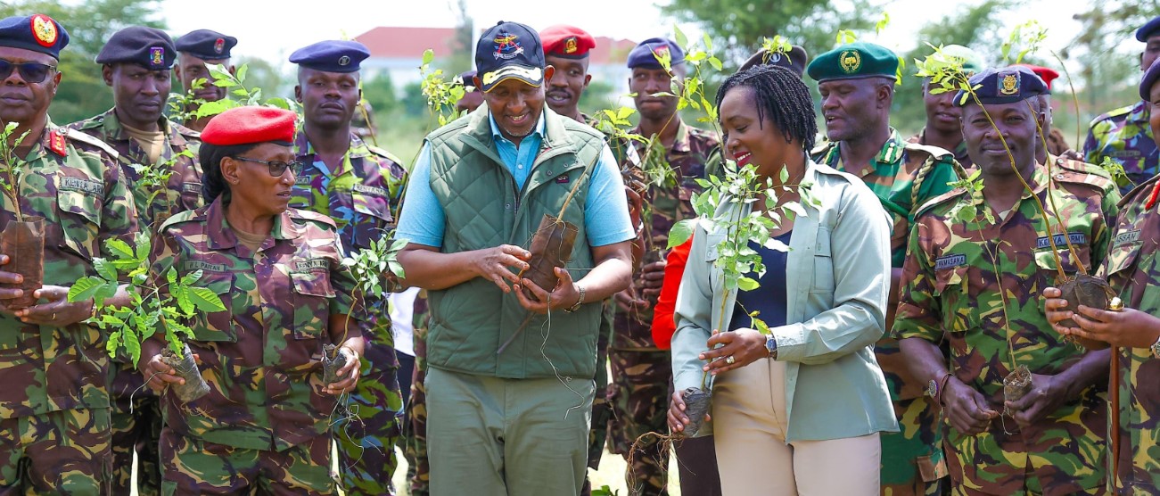 Duale proposes fruit tree planting to meet Ruto's 15 billion tree target