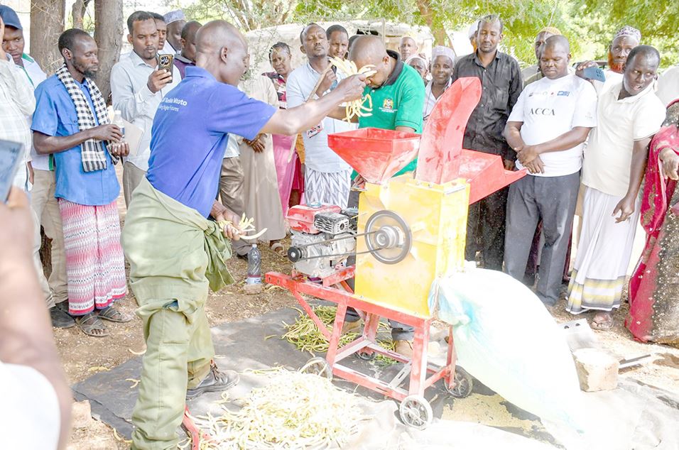 Asal counties move to stop spread of stubborn Mathenge plant