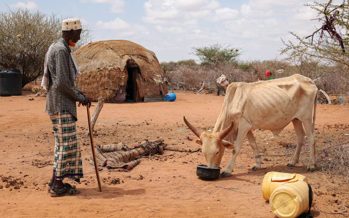 Kenyan pastoralists to benefit from Sh6.1bn climate change adaptation programme