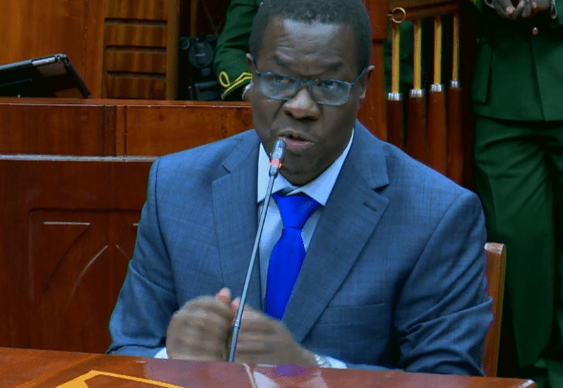 This is my plan in the Energy Ministry- Wandayi