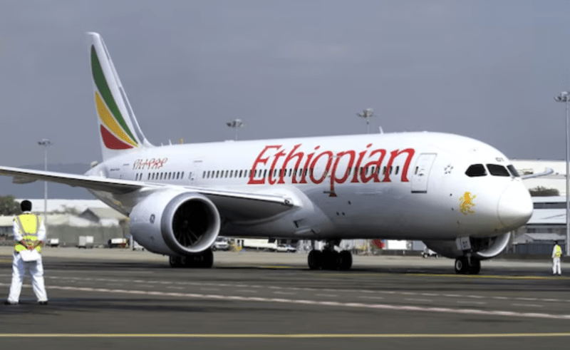 Ethiopian Airlines says it has stopped flights to Eritrea - A member of the ground crew directs an Ethiopian Airlines Boeing 787-8 Dreamliner plane at the Bole International Airport in Ethiopia's capital Addis Ababa, August 21, 2015. (Reuters)