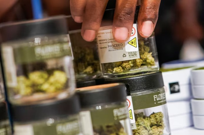 Cannabis users face sixfold higher risk of heart disease, study warns - A worker organizes cannabis flowers before the opening of the first legal recreational marijuana dispensary located in the East Village in the Manhattan borough of New York City, U.S., December 29, 2022. (Photo: REUTERS/Eduardo Munoz)