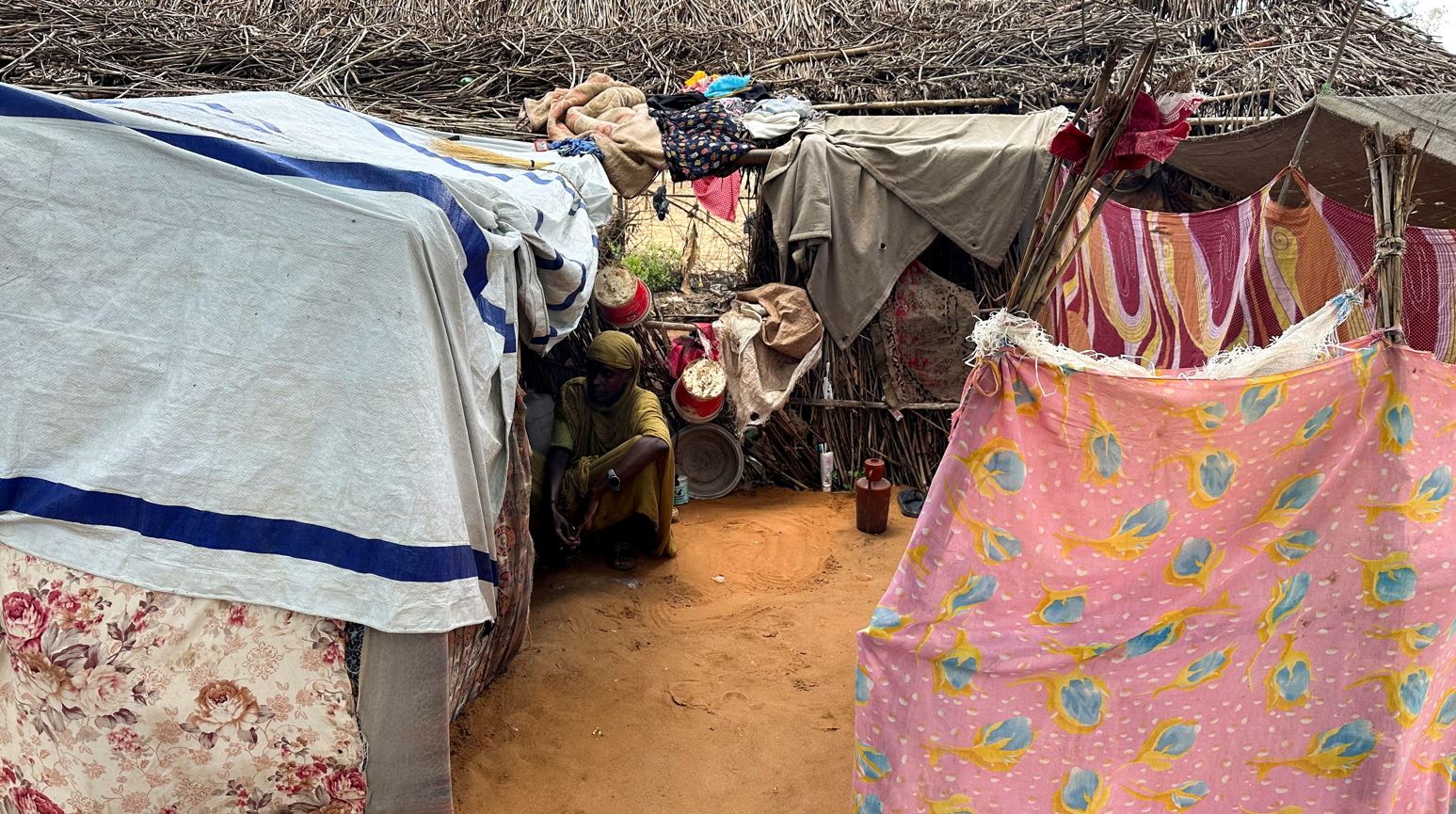 Sudan's government denies famine exists in Zamzam camp in Darfur