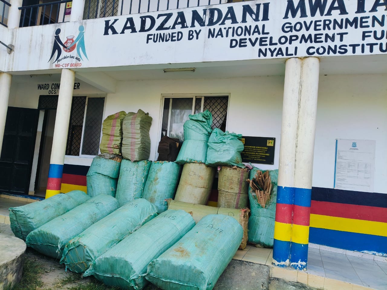 Authorities arrest two suspects, seize bhang worth Sh9 million in Kwale