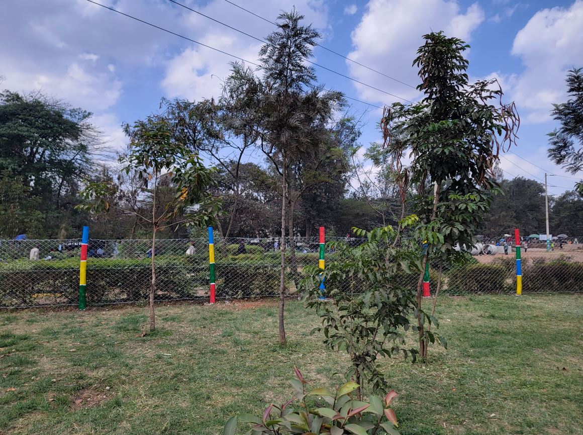 A relaxing spot at Kamukunji Grounds in Kamukunji Constituency, Nairobi. (Photo: Ahmed Shafat)