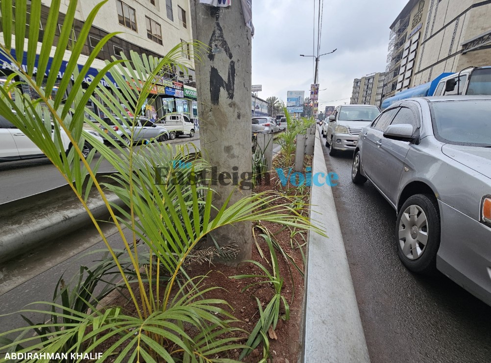 Eastleigh's General Wariungi Street gets a makeover from BBS Mall