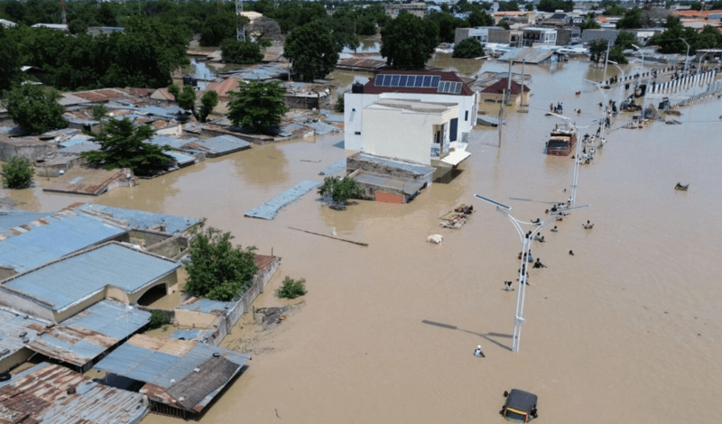 Floods decimate Nigerian zoo, wash crocodiles into community