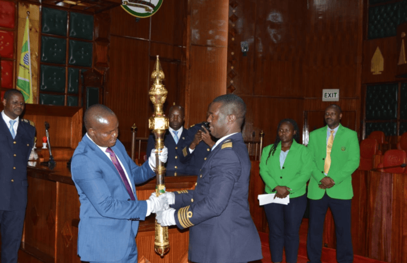 Explainer: What you need to know about ceremonial Mace