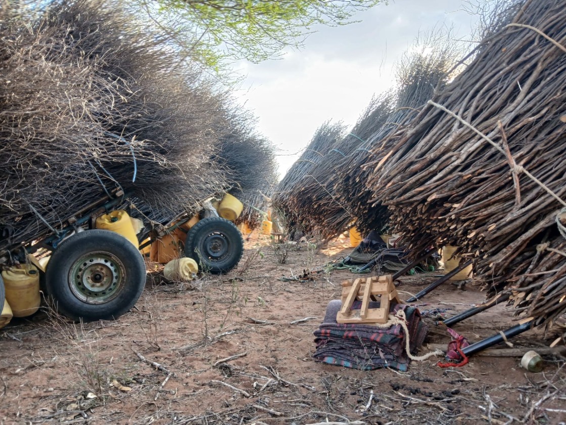 Donkey-pulled carts transporting charcoal, firewood, and construction materials intercepted by the Bananey Ward community on Saturday, September 28, 2024. (Photo: Issa Hussein)