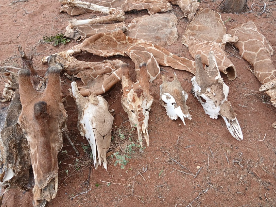 Wajir residents protests against refugees accused of poaching, environmental degredation