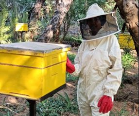 Garissa pastoralists venture into beekeeping after floods destroy crops