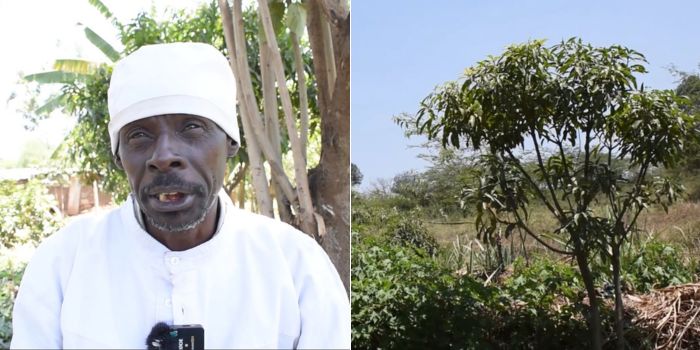 Farmer offers Kiambiu residents hope through food provision