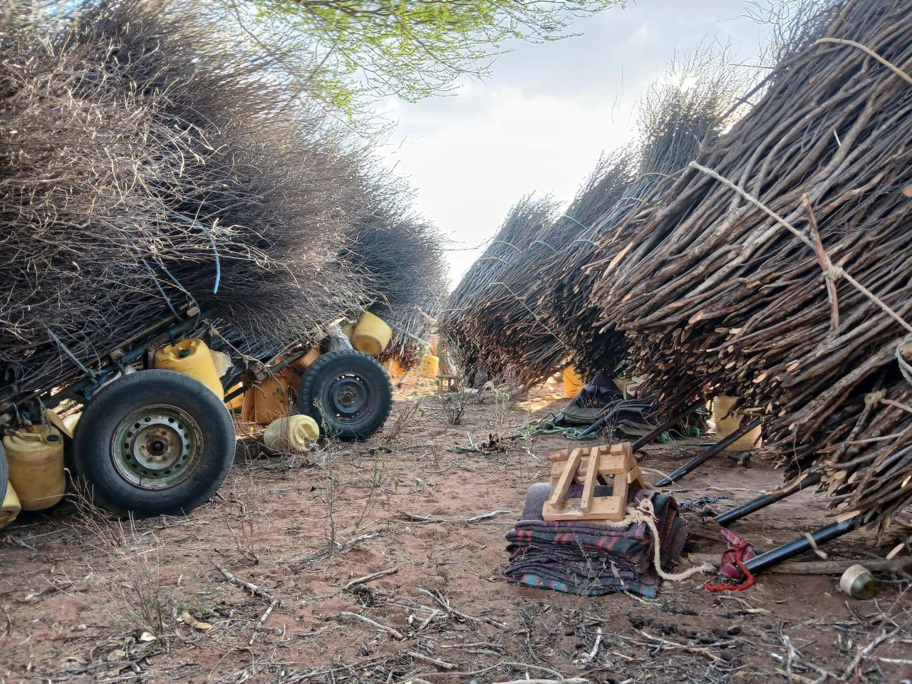 CS Duale urges UNHCR to address deforestation in Kenya's refugee camps