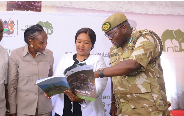 KWS seeks Sh98 billion in funding to rejuvenate wildlife conservation - From left: Wildlife Principal Secretary Silvia Museiya, Tourism and Wildlife Cabinet Secretary Rebecca Miano, and KWS Director-General Erustus Kanga in Nairobi on September 30, 2024. (Photo: Ministry of Tourism)